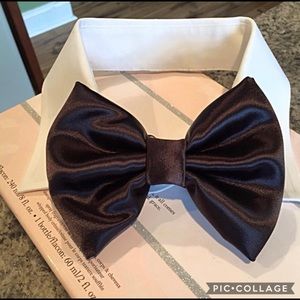 Formal tux pet bow tie